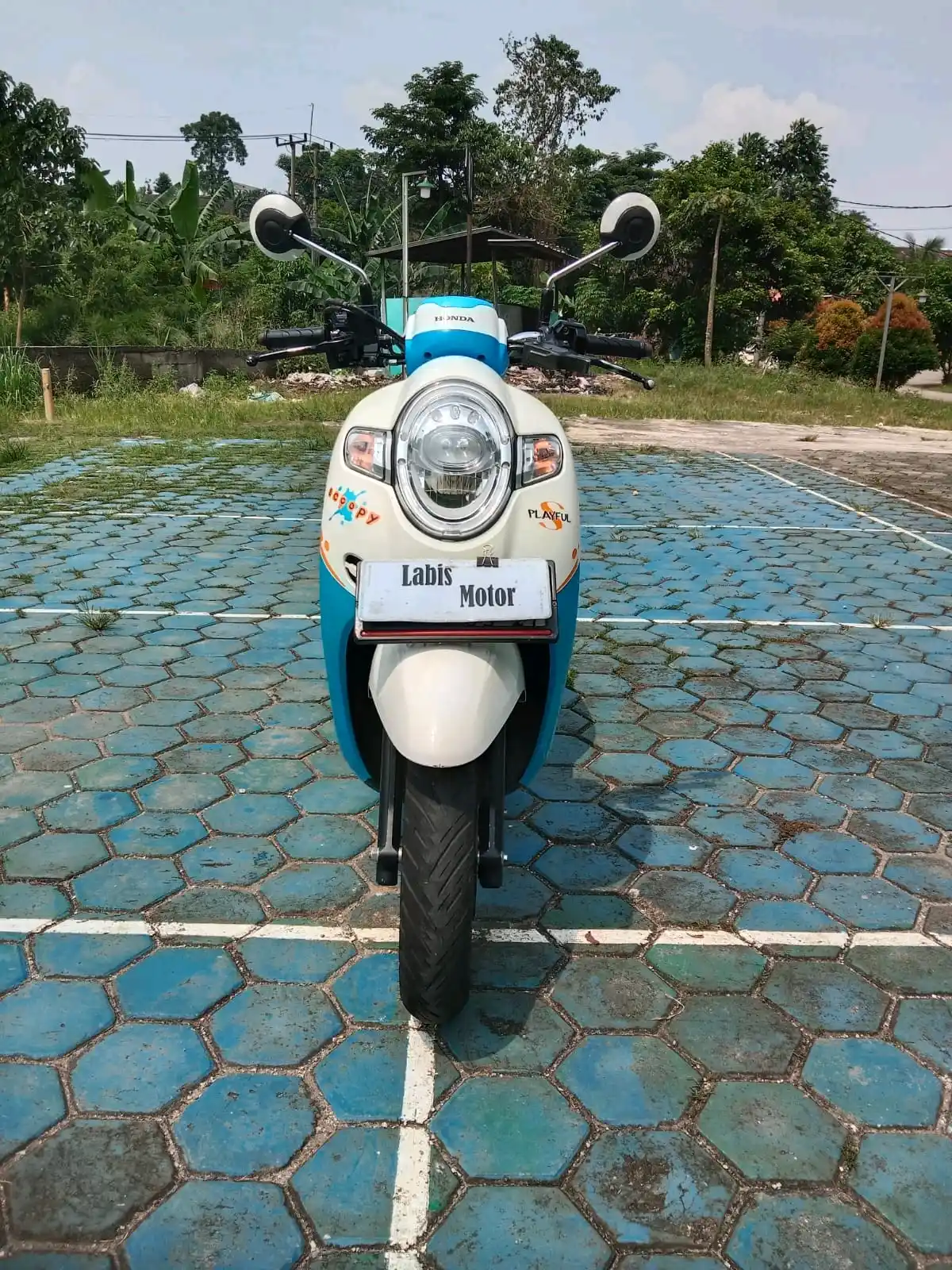 Honda Scoopy 2017