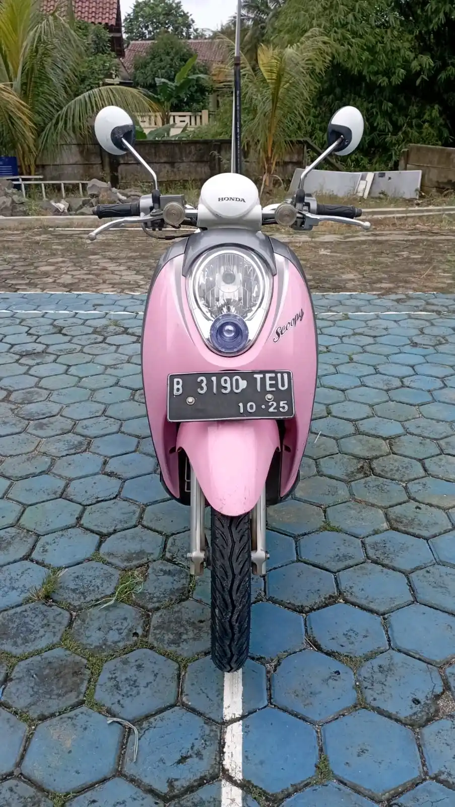 Honda Scoopy 2010