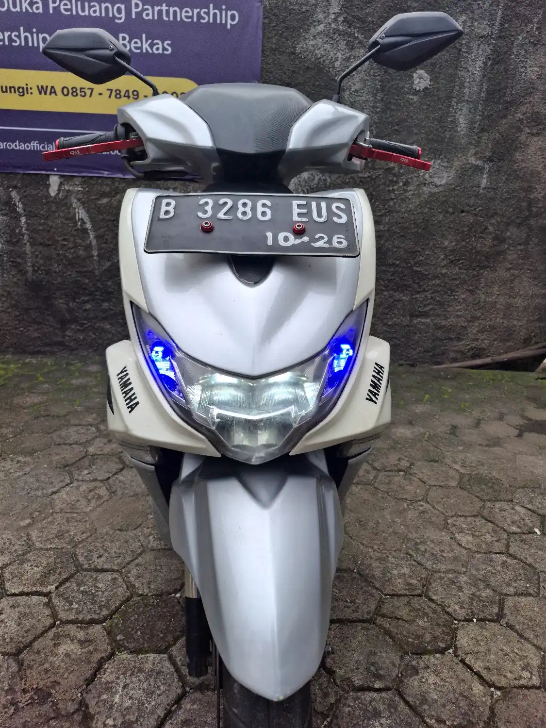 Yamaha FreeGo 2019