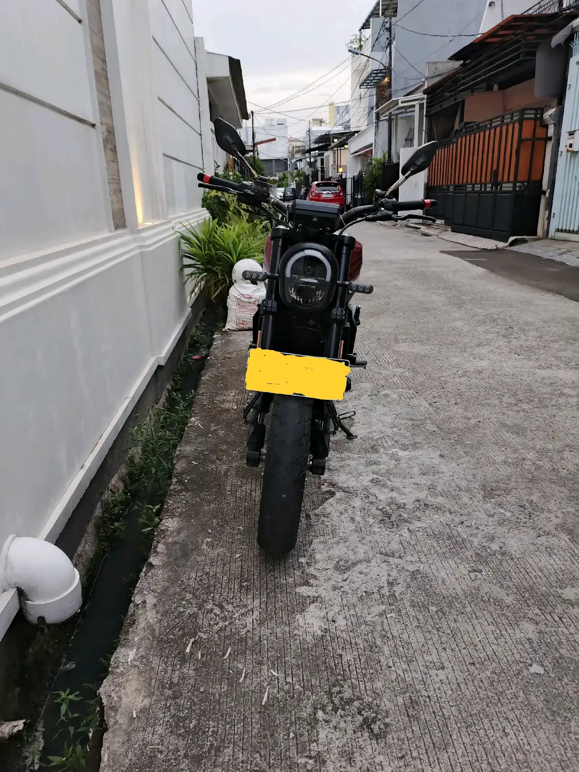 Benelli Leoncino 2025